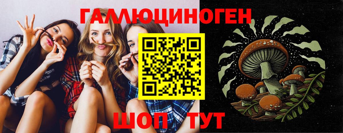 Галлюциногенные грибы Psilocybine cubensis Канаш
