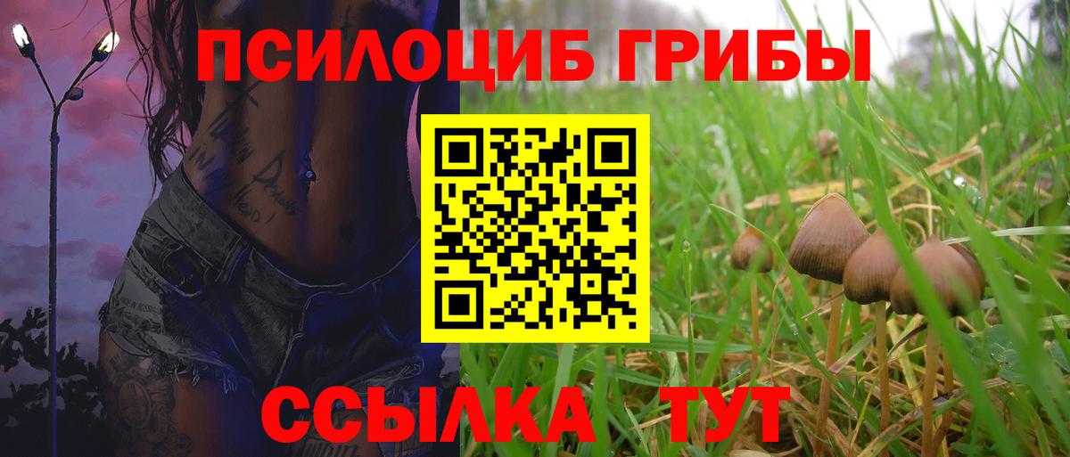 Канаш  Псилоцибиновые грибы Psilocybine cubensis  Вход с VPN  Псилоцибиновые грибы мухоморы 